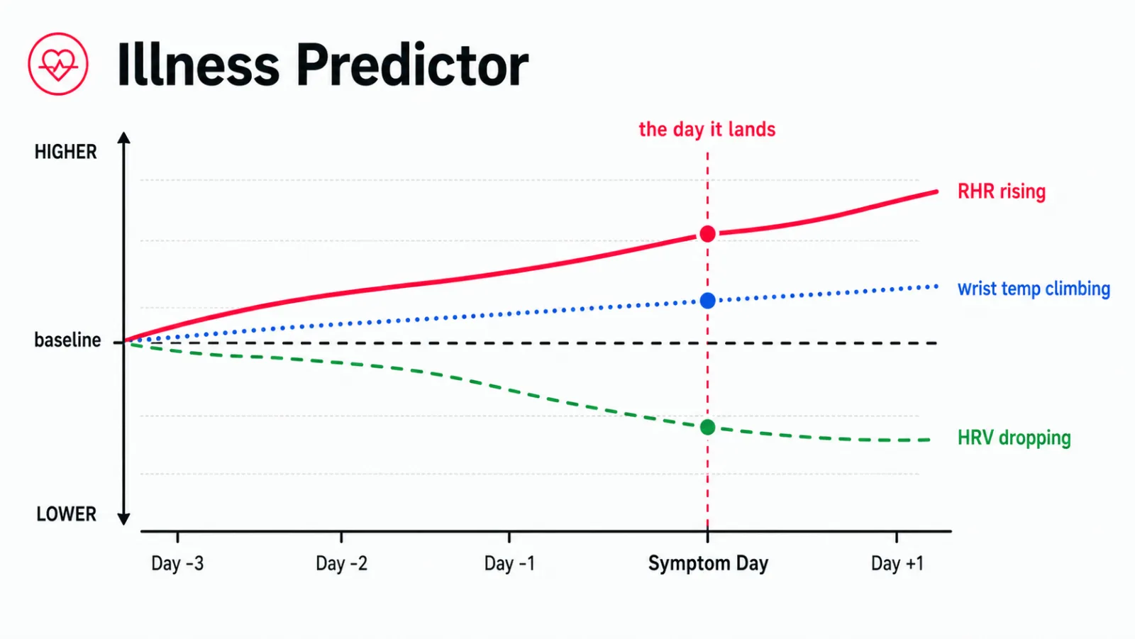 Illness predictor - Body Insights chart