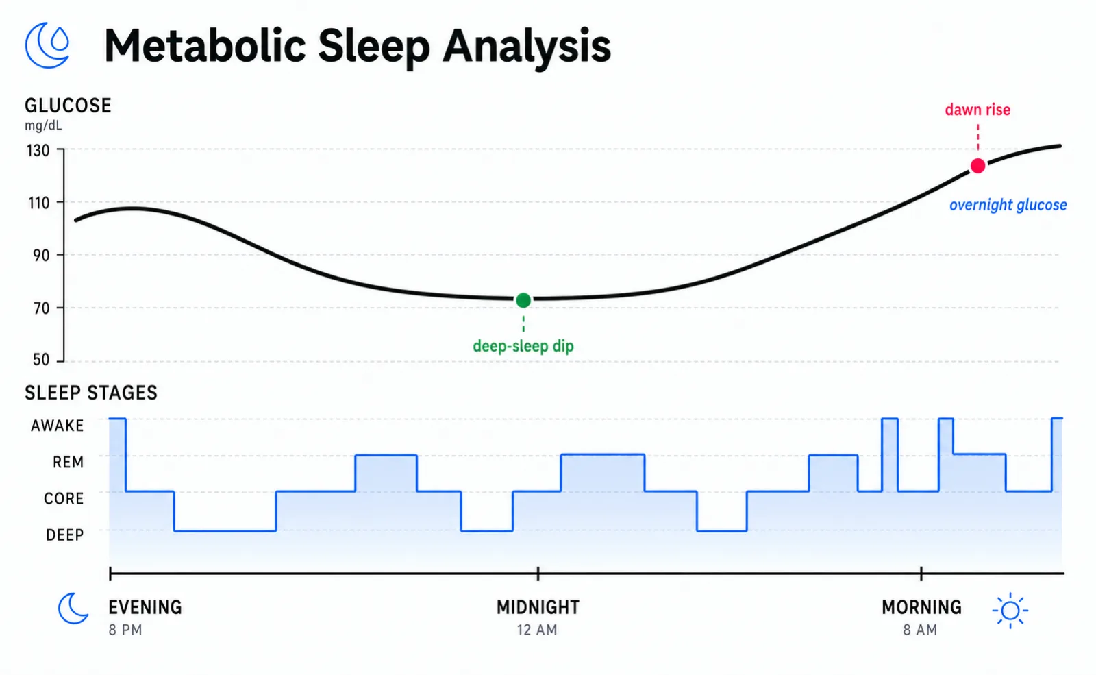A smooth glucose curve floats above a stepped sleep-stage band. The glucose curve dips early in the night during deep sleep and rises gently toward morning as a dawn phenomenon.