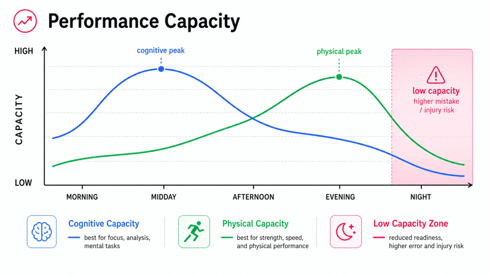 Two single-peak curves through a day. The cognitive curve rises sharply and peaks in the late morning, then falls. The physical curve rises more gently and peaks in mid-afternoon. The two curves cross