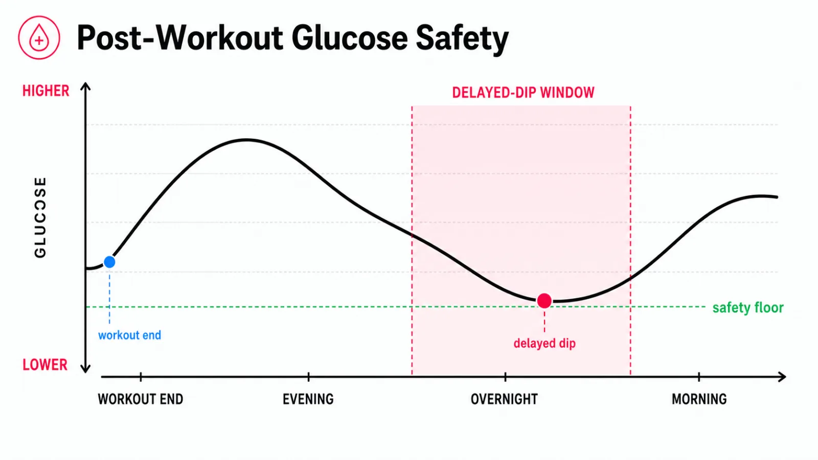 A glucose curve rising slightly after a workout, then descending into a shaded danger zone in the late evening and overnight hours, reaching its low point in the delayed-dip window before recovering t