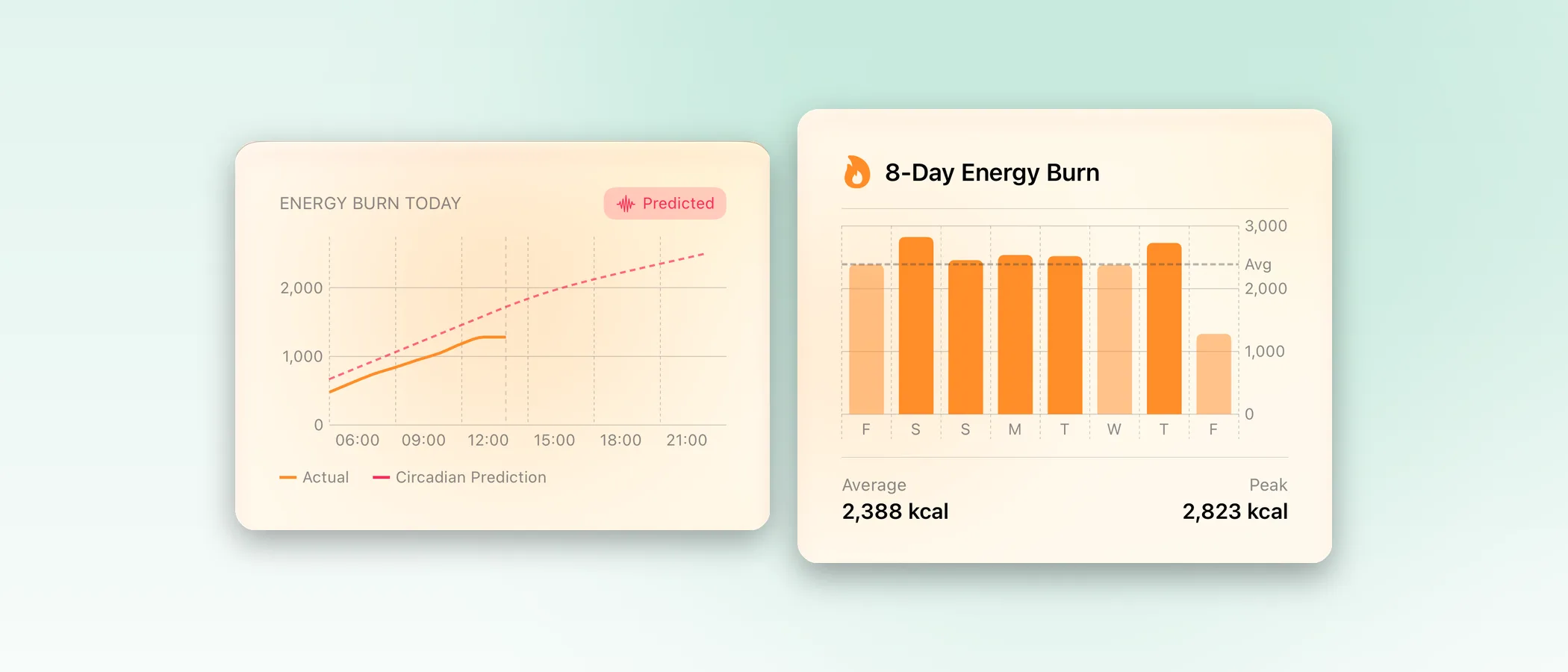 Body Insights Energy Burn Today chart and 8-day energy burn bars.