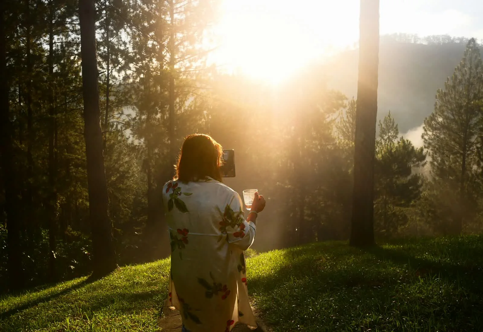 A woman standing in warm morning light, holding her phone while looking out across a quiet forest.