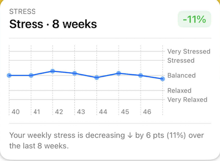 dcb088f0 f7aa 4dde 875e bd4cc8520407.jpeg